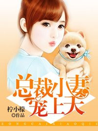 仕途红颜:抉择